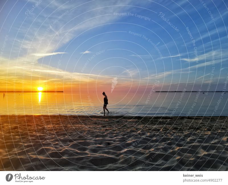 A woman is on vacation and walks in the water at sunset on the Baltic Sea near Zierow district of Wismar in Mecklenburg-Western Pomerania in Germany Woman