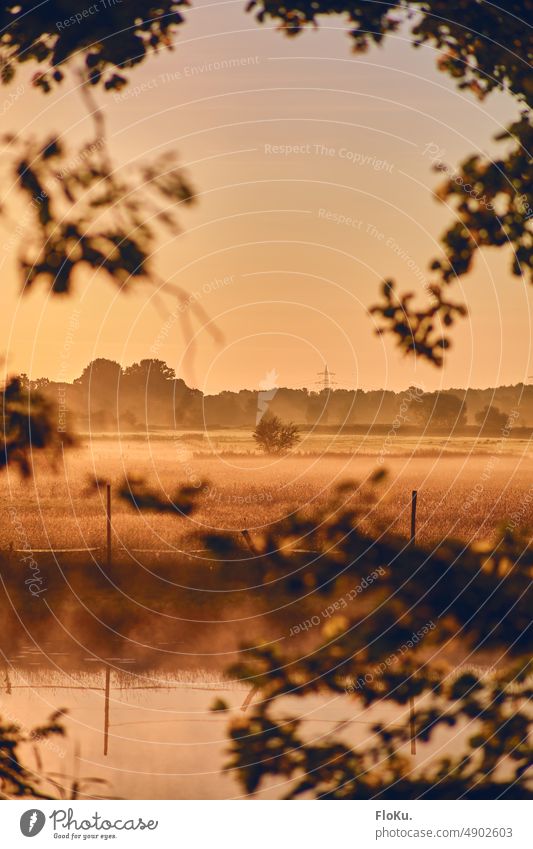 Fields with fog in sunrise Meadow Sunrise Morning Fog Landscape Nature Dawn Exterior shot Tree Sunset Autumn Sunlight Deserted Environment Beautiful weather