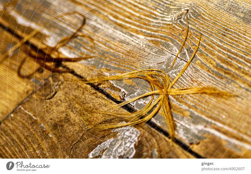 At the hairdresser (cut hair on wooden floorboards) Wood Wooden floor Floor covering Ground Brown Floorboards Pattern Structures and shapes Detail Deserted