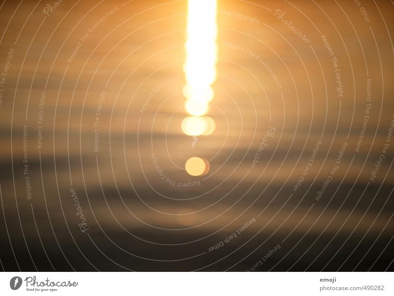 Liquid Gold Environment Nature Water Summer Waves Lake Fluid Light Light (Natural Phenomenon) Flare Reflection Colour photo Exterior shot Detail Deserted