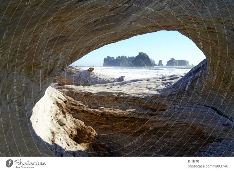 Rock islands off the coast of the Olympic Peninsula, Washington, USA - view through the root system of a driven tree Island Tree Tree trunk Pacific Ocean ocean