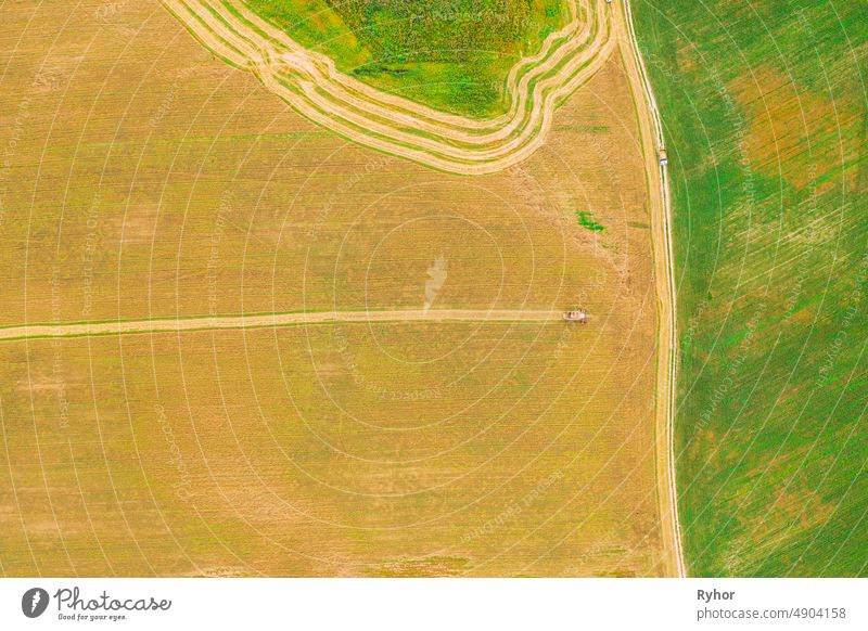 Aerial View Of Rural Landscape. Combine Harvester Working In Field, Collects Seeds. Harvesting Of Wheat In Late Summer. Agricultural Machine Collecting Golden Ripe. Bird's-eye Drone View