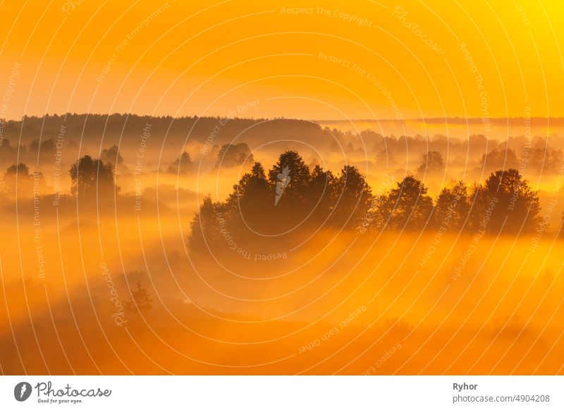 Amazing Sunrise Light Above Misty Landscape. Scenic View Of Foggy Morning In Misty Forest Park Woods. Summer Nature Of Eastern Europe. Sunset Dramatic Sunray Light Sunbeam