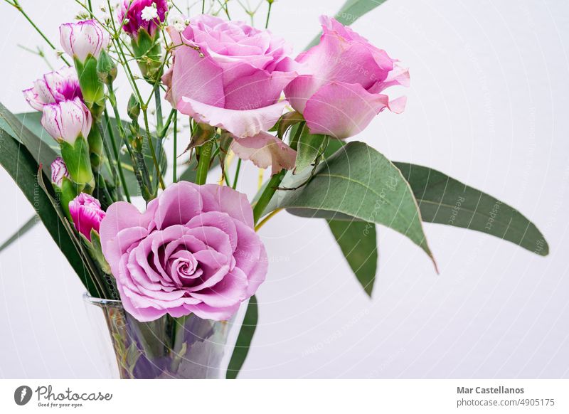 Bouquet of flowers in a vase with a white background. Copy space. bouquet copy space rose carnation eucalyptus green decoration natural homemade natural flowers