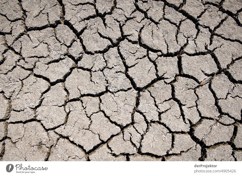 Dried up lake in detail in Bavaria/Franconia II Crack & Rip & Tear Desert Drought Weather heating Surface Summer Hot Brown Ground Pattern Deserted Exterior shot