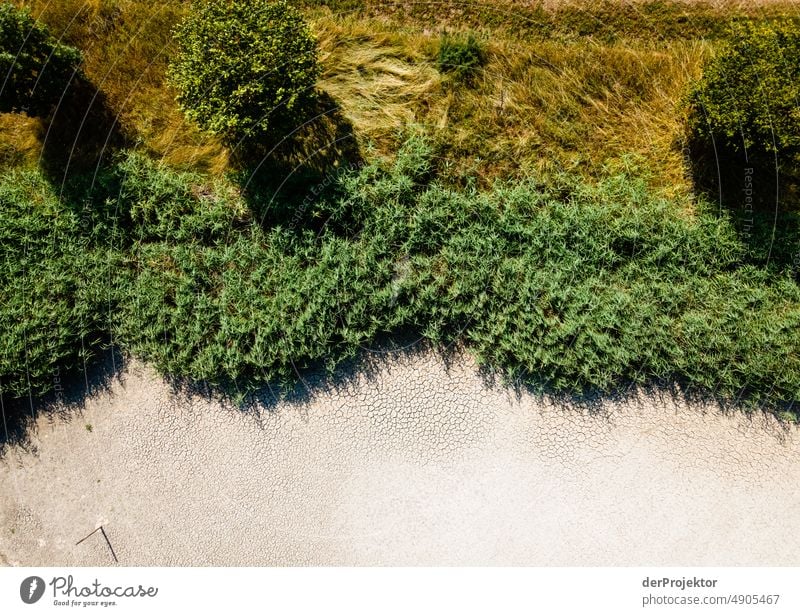 Dried up lake with marginal vegetation in Bavaria/Franconia Crack & Rip & Tear Desert Drought Weather heating Surface Summer Hot Brown Ground Pattern Deserted