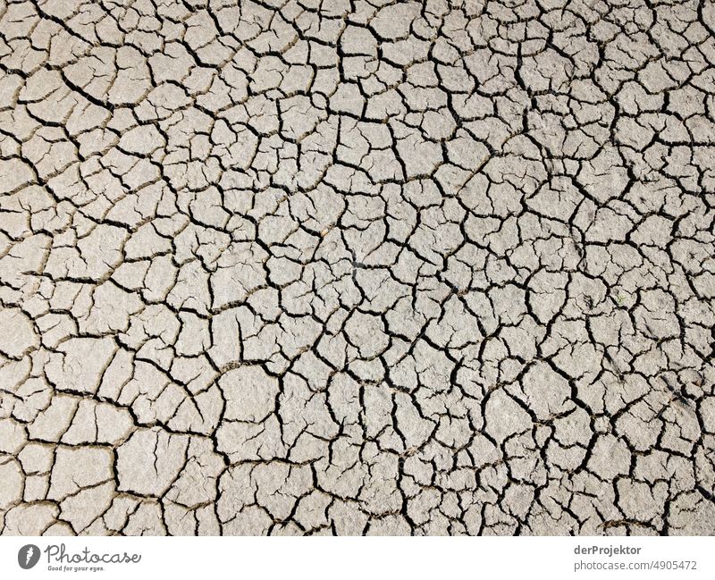 Dried up lake in detail in Bavaria/Franconia III Crack & Rip & Tear Desert Drought Weather heating Surface Summer Hot Brown Ground Pattern Deserted