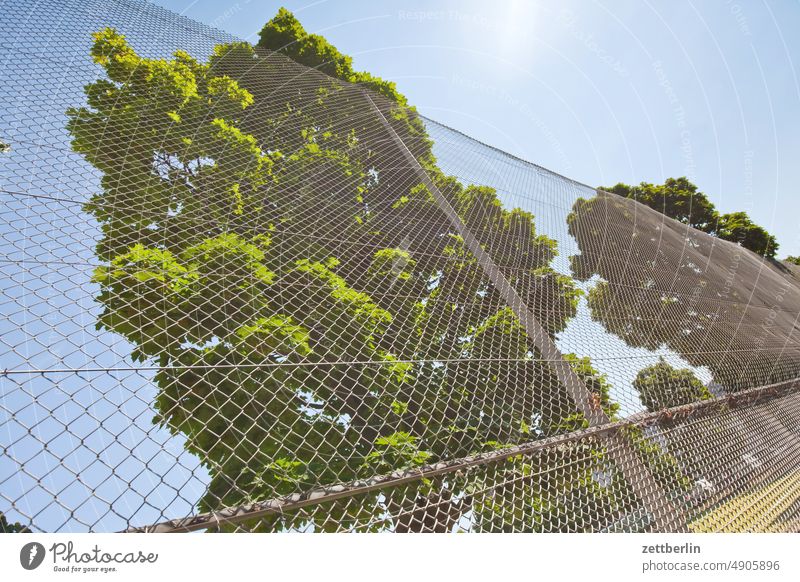 Trees on the sports field Berlin city Germany Worm's-eye view Capital city Sky downtown Kiez Life Skyline city district street photography City trip Scene