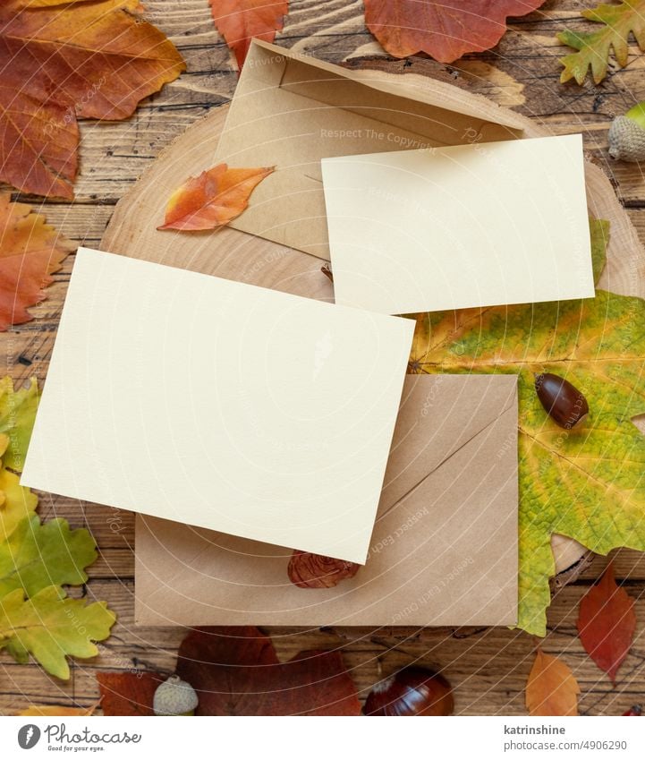 Cards between colorful autumn leaves and berries on wooden table top view, rustic mockup Autumn card Mockup setting envelope invitation Harvest red yellow