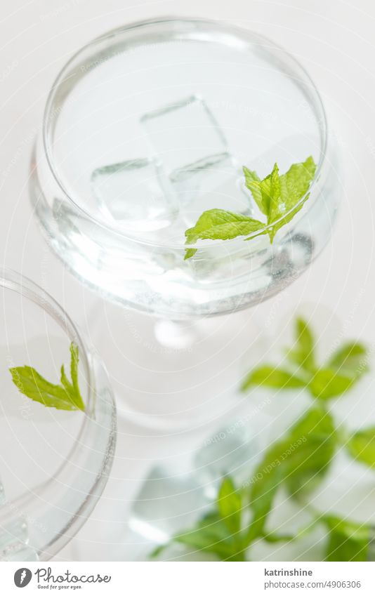 Transparent cocktail with ice cubes in a glass decorated with mint leaves close up champagne coupe mocktail Analcolic green Tropical drink bar Summer Nobody