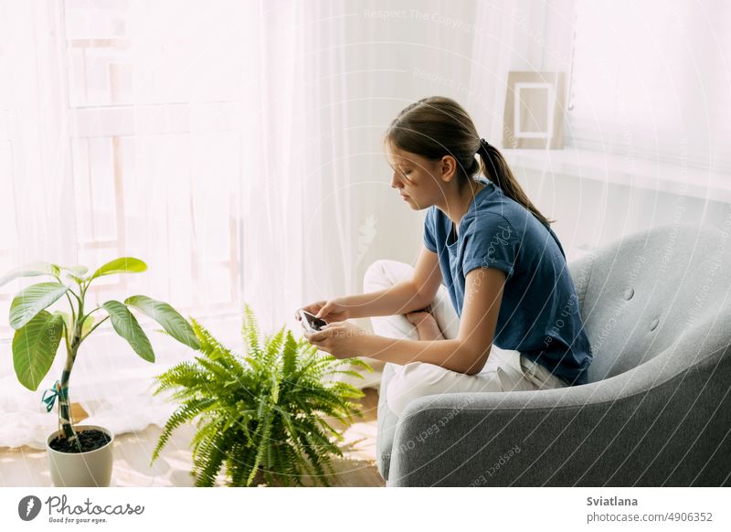 A young girl is sitting in a chair and exchanging messages online on her phone. Home recreation, modern lifestyle student messaging using communication message