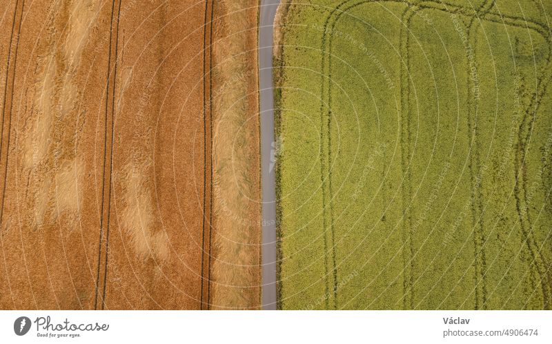 View of a grain field and fields of various vegetation near Kyjov, South Moravia, Czech republic. Scenery of agricultural fields. Agricultural productivity