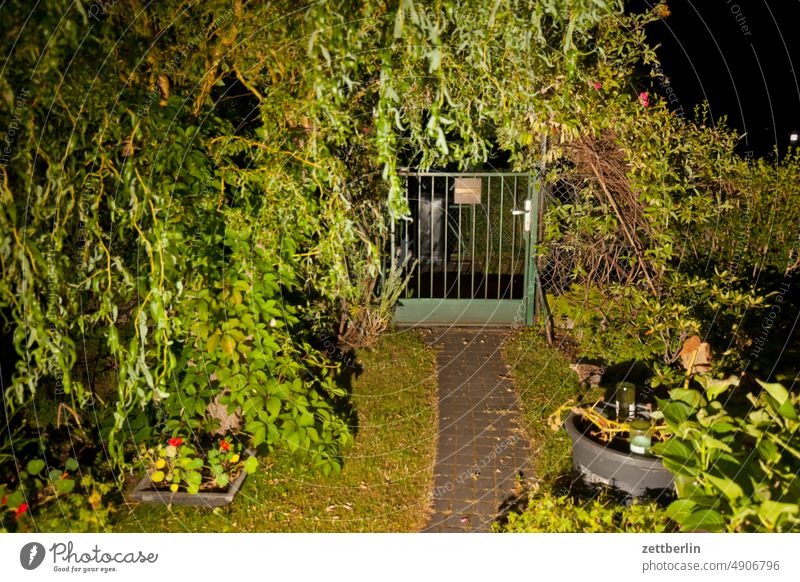 Garden in the evening Evening flashed Branch Tree lightning bolt Dark Twilight Relaxation holidays Hedge allotment Garden allotments Deserted neighbourhood