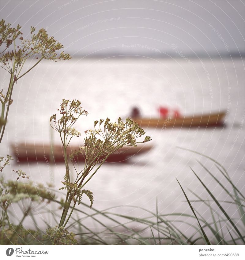 fjords Nature Landscape Elements Water Fjord Boating trip Fishing boat Rowboat To swing Swimming & Bathing Green Violet Moody Independence Tuft of grass