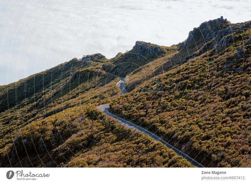 Road in the mountains above the clouds Madeira Madeira streets Madeira Infrastructure Landscape Street Mountain Sky travel Summer Park Tree Hill Nature panorama