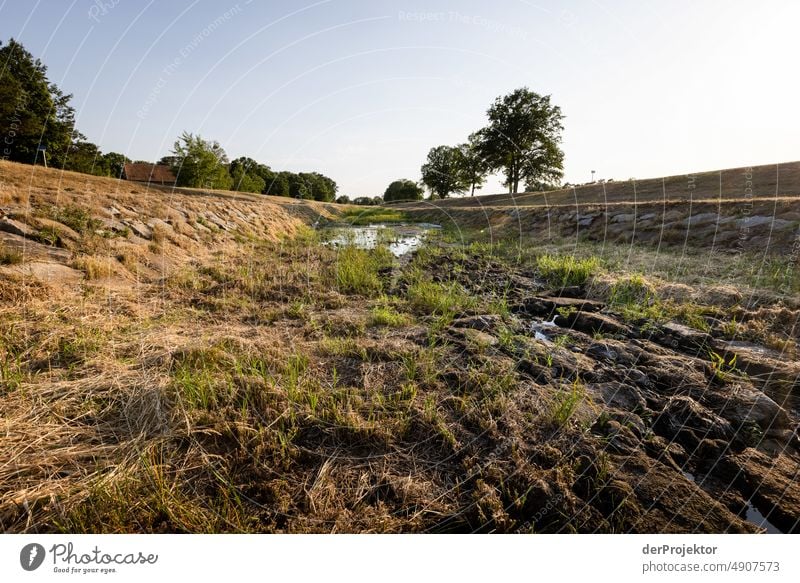 Dried up river "Schwarze Elster" in Brandenburg Brandenburg Crack & Rip & Tear Desert Drought Weather heating Surface Summer Hot Brown Ground Pattern Deserted