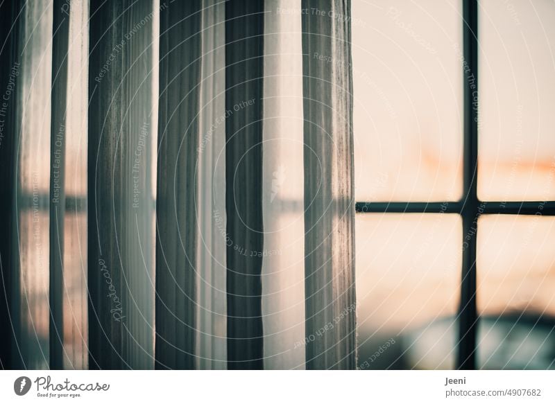 Crime Scene | Hotel Room Hotel room Window Curtain half-opened Light Morning Sunrise Bedroom Drape Window pane Transparent Flat (apartment) Wrinkles Cloth Hang