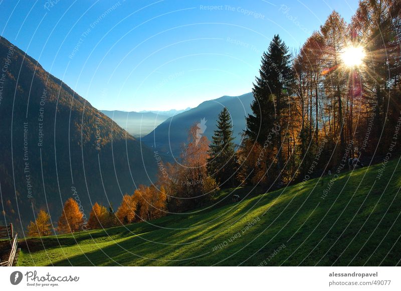 Ahornach in autumn Autumn land Colour