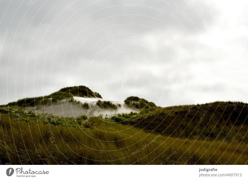 Dune in Jutland duene Marram grass Sand coast North Sea North Sea coast Denmark Sky Clouds Beach Ocean Landscape Nature dunes Vacation & Travel destination