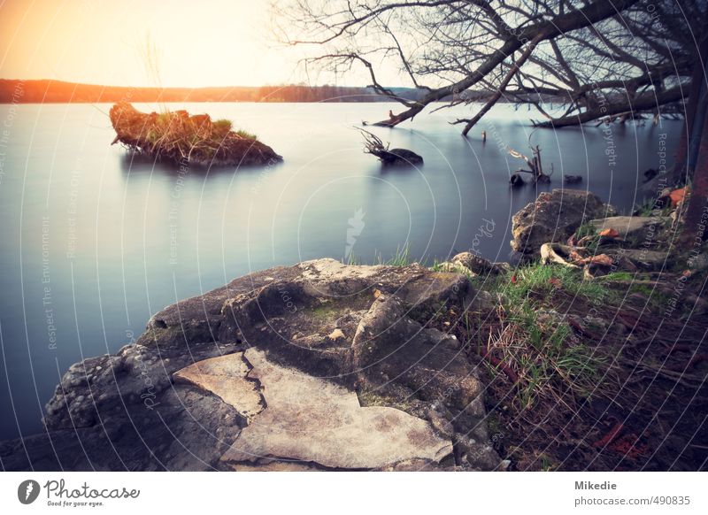 Wannsee Idyll Environment Nature Landscape Plant Earth Water Sky Sun Sunrise Sunset Sunlight Spring Beautiful weather Tree Grass Moss Rock Lake River Havel