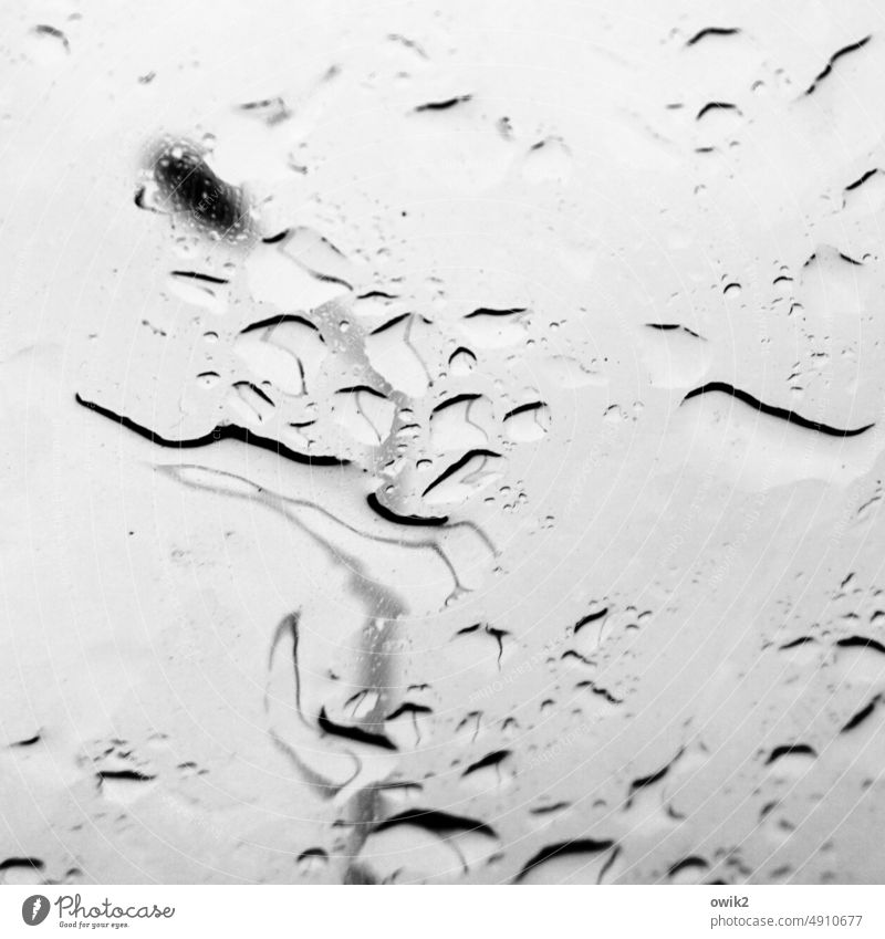 river landscape Window Window pane Transparent Damp Wet Water Drop raindrops Rain Glass Shallow depth of field Close-up Detail Macro (Extreme close-up)