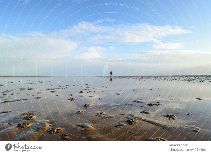 watt Mud flats North Sea Ocean Low tide Water Beach Tide Slick coast Sand Walk along the tideland Nature ebb and flow Far-off places Horizon Island Sky