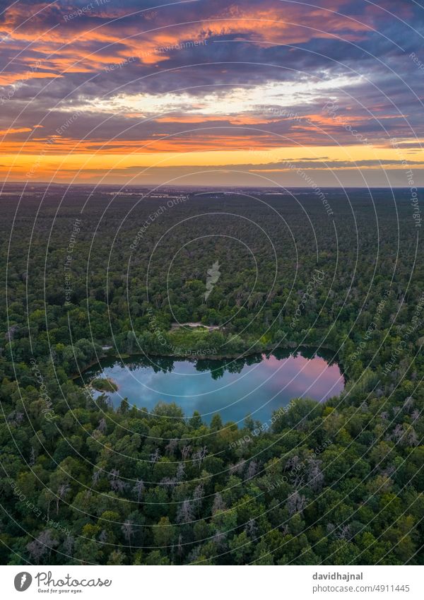 Aerial view of the Karlsternweiher in Mannheim. River Lake Pond Water Antenna Aerial photograph Forest Drone Tree Germany Europe Landmark sight Sightseeing