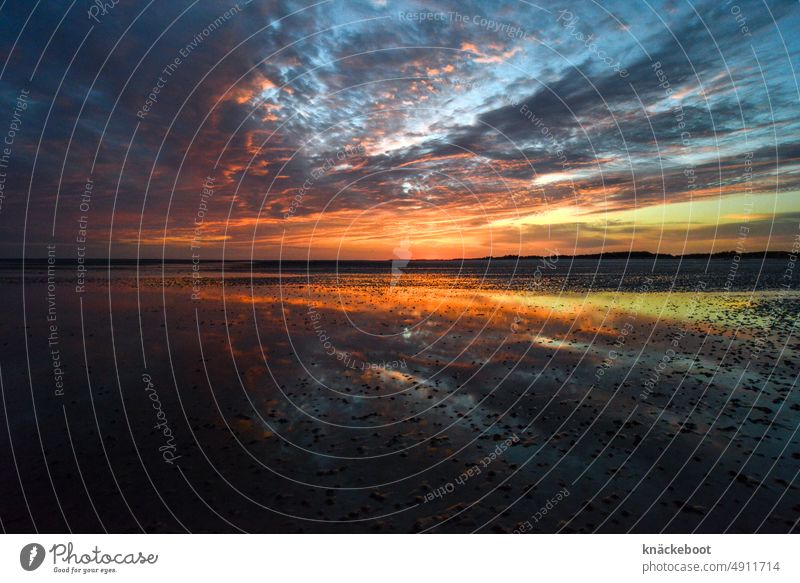 Sunset in the Wadden Sea Mud flats North Sea Low tide Tide Ocean coast Water Beach Island ebb and flow Horizon Sky reflection Slick Relaxation Far-off places