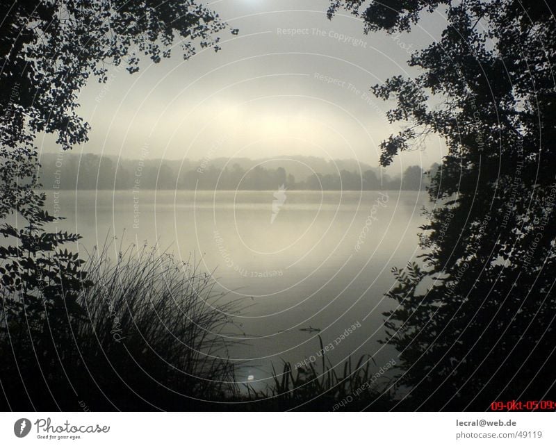 A day at the lake Lake Contentment Harmonious Lake Baggersee Fog Deities Perfect Ambience Exterior shot God camera phone sony ericcson k750i 2 mpix