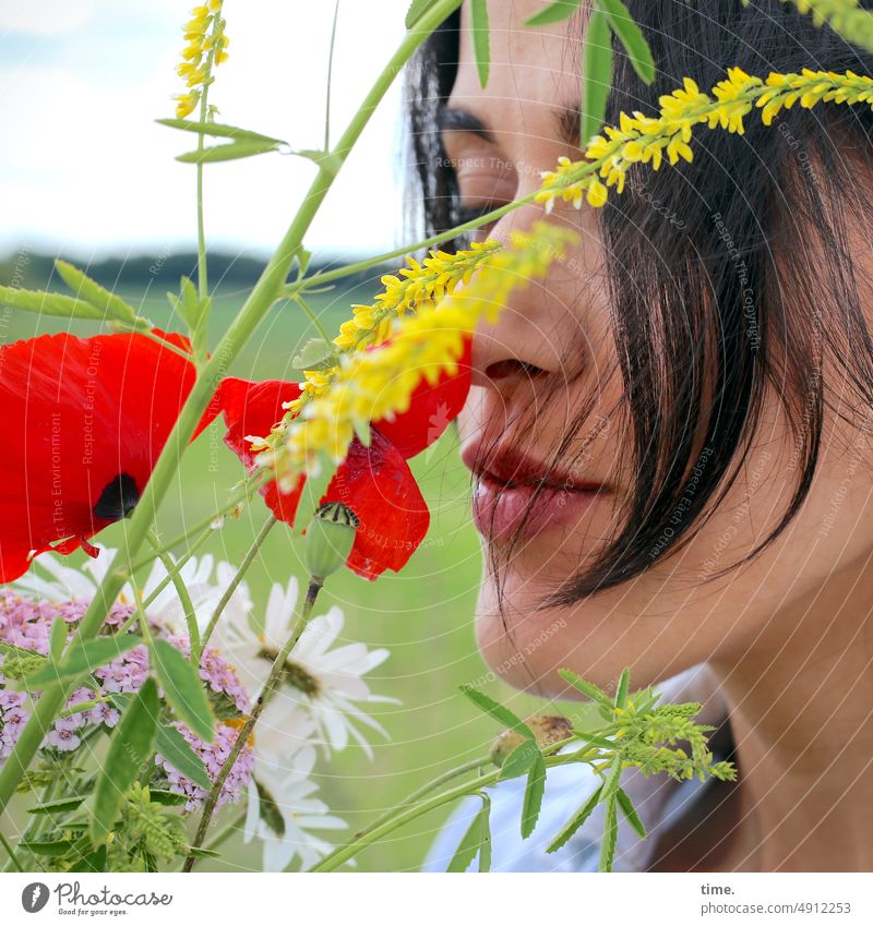 Woman with flowers Poppy feminine Feminine portrait Long-haired Dark-haired Landscape Horizon Sky meadow flowers Closed eyes Profile devotion sensual sniff