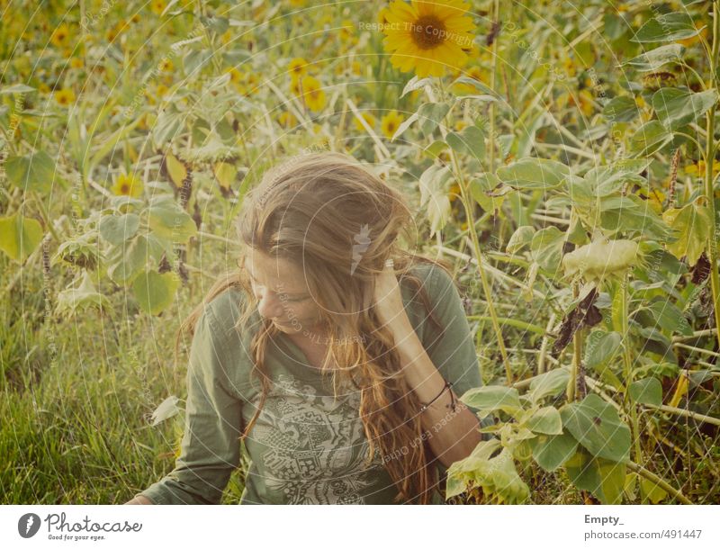 the muddi Summer Meadow Human being Woman warm hair Sunflower Sunflower field leaves