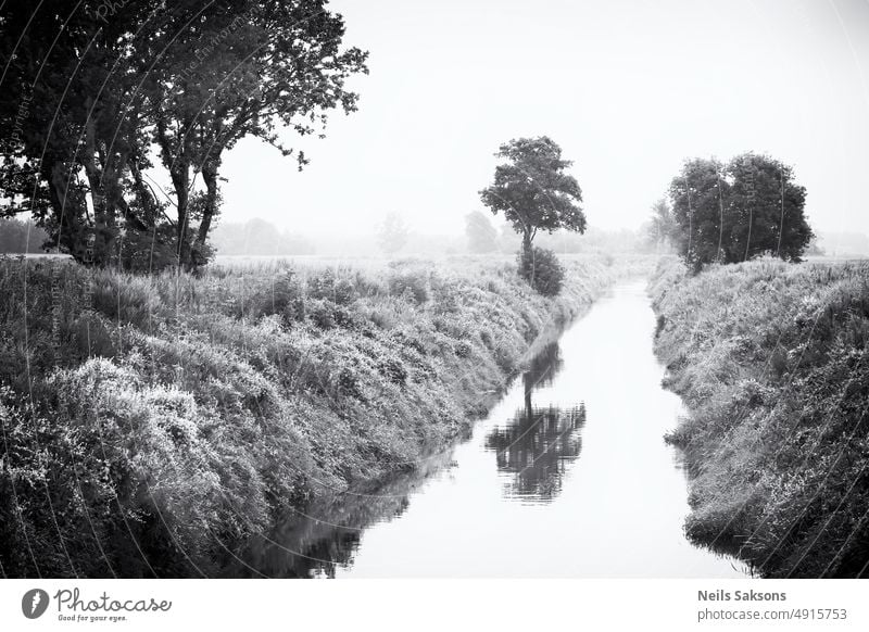 winter in summer river grass mono monochrome trees reflection fog mist haze straight direction perspective nature landscape scenic outdoors water forest scenery