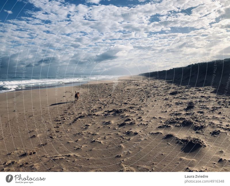 Morning mist on the beach morning mist Nature Ocean ocean beach Beach Sand Coast Australia Landscape getaway Relaxation Vacation & Travel sky clouds