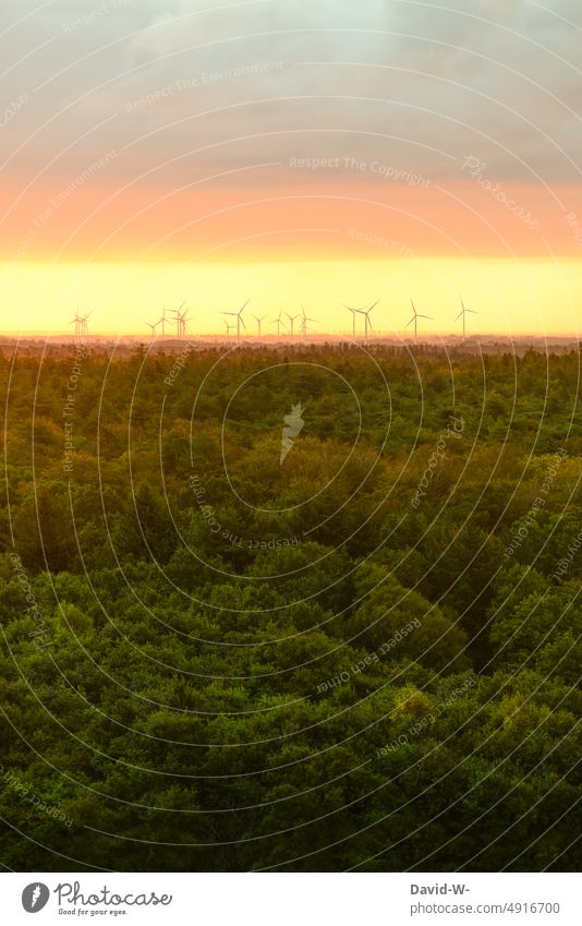 Wind turbines in sunlight Wind energy plant windmills wind power Energy Renewable energy Wind power station Forest Sunset Sunlight stream energy production