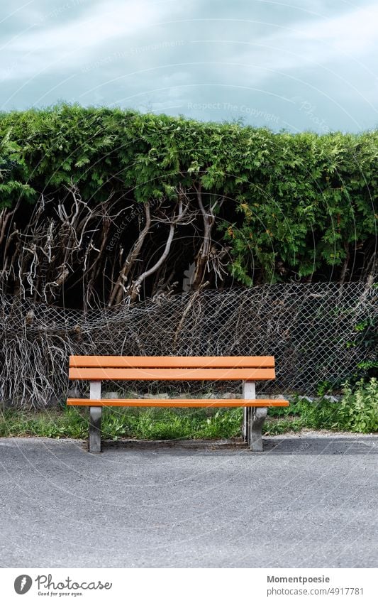 Somewhere in nowhere Bench Broken Fence Sky Clouds somewhere Old Lonely on one's own psyche sad depression Moody depressive Park bench off Wayside Evergreen