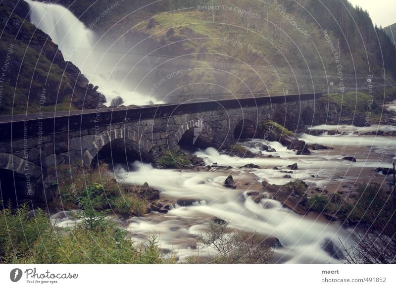 waterfall Landscape Water Autumn River Waterfall Esthetic Cold Gray Green Movement Norway Truck Colour photo Exterior shot Deserted Copy Space top Day