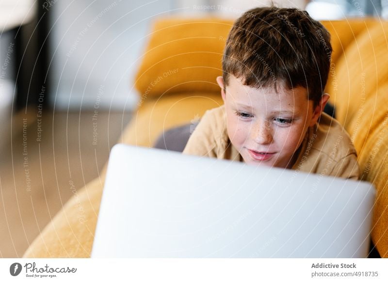 Boy lying on a sofa using the laptop child computer boy happy caucasian technology male kid smiling indoors home childhood little game internet play young smile