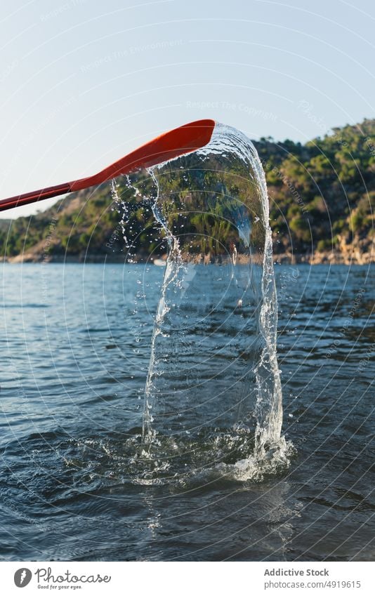 Paddle with splashing water in lake paddle nature coast forest tree shore lakeside river summer woodland blue sky scenic environment scene equipment supply