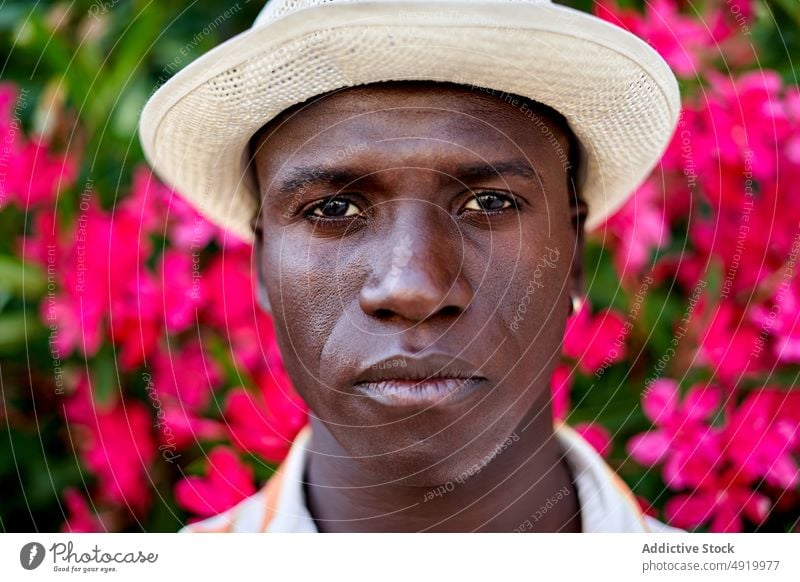 Happy black man near blooming bush street flower plant appearance city floral attire style african american ethnic summer male guy town entrepreneur modern hat