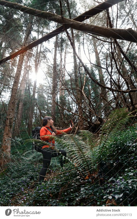 Female hiker taking selfie in forest woman break weekend take photo travel smartphone female woods self portrait traveler tree nature mobile brunette gadget