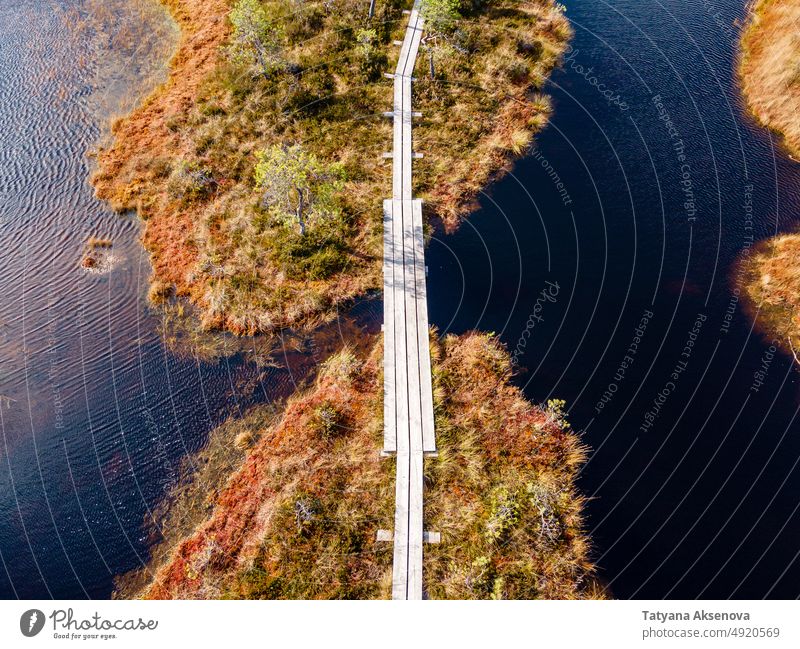 Wooden hiking trails in swamps bog forest autumn fall marsh aerial estonia nature landscape tree outdoor weather environment season travel lake drone view above