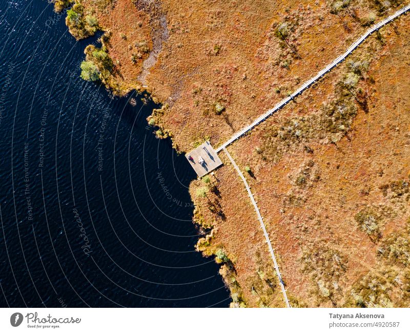 Wooden hiking trails in swamps bog forest autumn fall marsh aerial estonia nature landscape tree outdoor weather environment season travel lake drone view above