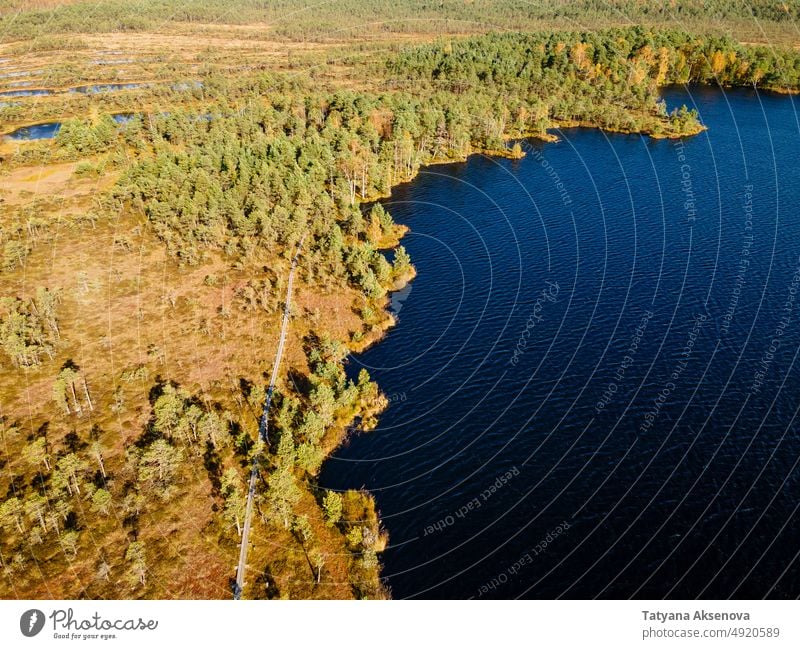 Wooden hiking trails in swamps bog forest autumn fall marsh aerial estonia nature landscape tree outdoor weather environment season travel lake drone view above