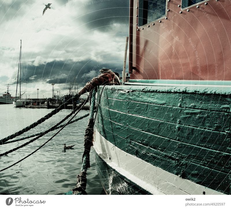 borderline Sassnitz Water Break Day Waves Resting place Idyll Colour photo Subdued colour Exterior shot Deserted coast Panorama (View) Baltic Sea island rebuke