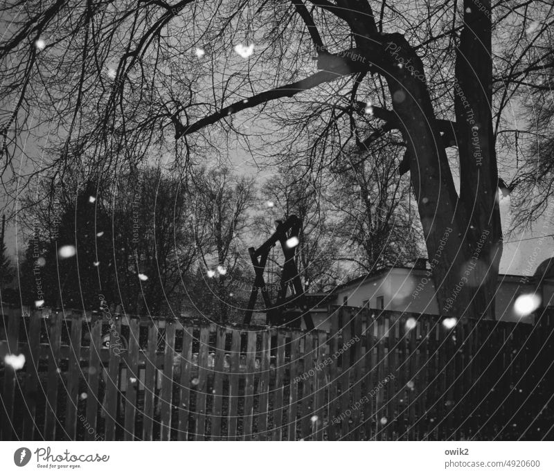 winter silence Snowflake Swirl Muddled Black White Wild Many Flash photo motion blur Deserted Structures and shapes Night Detail Exterior shot Point Dance