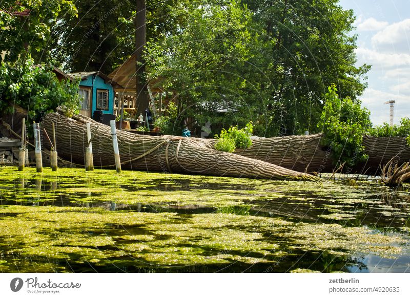 Tree trunk in water Trip boat Relaxation holidays River Channel Landscape Nature Paddle canoe Rowboat ship Navigation Lake Summer Sports Pond bank vacation