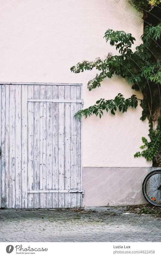 Old barn door, some greenery and a cut bicycle rear wheel Barn door Goal Courtyard Green Wood Building Day Closed House (Residential Structure) Wall (building)