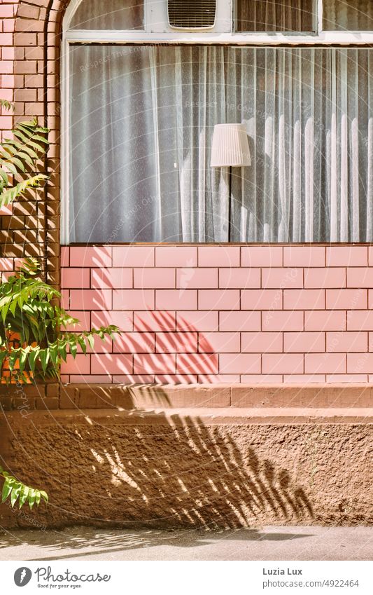 Pink brick, branches of a goddess tree cast shadows, in the window an old-fashioned floor lamp cozy Homey Old Curtain Living or residing Drape obliquely allure