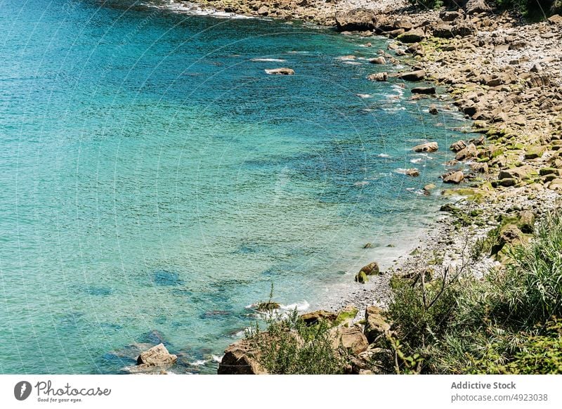 Rocky coast near sea in tropical area shore water nature resort beach landscape summer scenery forest woodland aqua rock tree plant coastline woods seashore