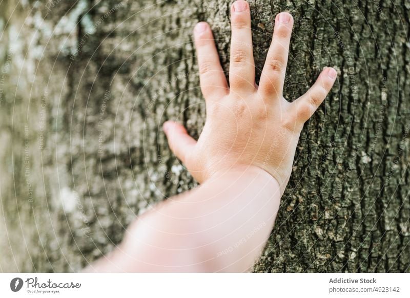 Crop unrecognizable child touching tree trunk bark rough summer park explore natural kid nature season childhood daytime uneven woods rest serene woodland